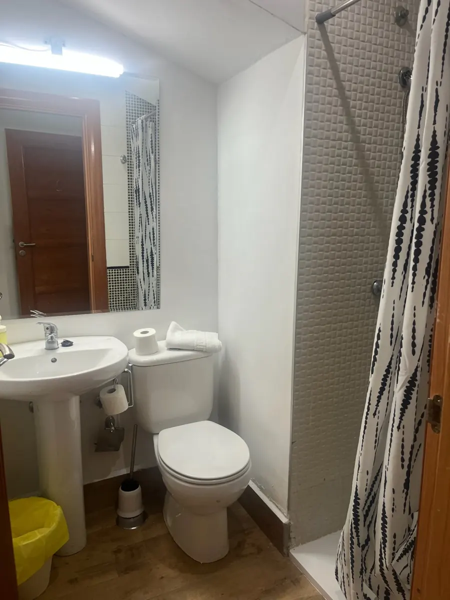 Baño privado de la habitación Matilda del Hostal Matilda's en Segovia: ducha, lavabo e inodoro